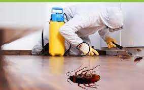 The Benefits of Normal Pest Control Routine maintenance post thumbnail image