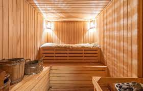 The Path Ahead for Wellness: The Role of Traditional Saunas post thumbnail image